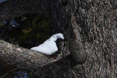 DSC_4913 (Large).JPG